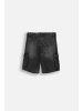 Coccodrillo Kurze jeansshorts in grau