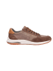 Sioux Sneaker in braun