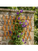 relaxdays 3 x Rankgitter in Orange - (B)90 x (H)310 cm