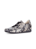 Gabor Sneaker low in multicolour