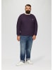s.Oliver Strickpullover in 4868_aubergine