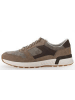 Pius Gabor Schnürschuhe Sneaker low in Braun