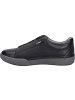Josef Seibel Sneaker Claire 24 in schwarz
