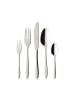 Villeroy & Boch 180er Set Tafelbesteck Annalena silber in silber