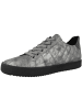 Geox Sneaker low D Blomiee A in grau