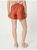 KOTON Shorts in Braun