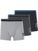 Jan Vanderstorm 3er Pack Retropants VELJOR in grau