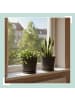 relaxdays 2x Blumentopf in Dunkelgrau - (H) 20 x Ø 20 cm