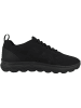 Geox Sneaker low U Spherica A in schwarz