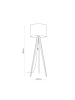 Licht-Erlebnisse Stehlampe (B)50 x (L)50 x (H)145 cm in Nussbraun Beige