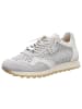 Cetti Sneaker Low in grau