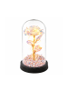Wisam® Ewige Rose Glaskuppel LED Kristall 21,5 cm Deko