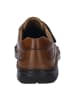 Josef Seibel Freizeitschuh New in cognac in cognac