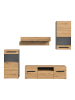 xonox.home Wohnwand  (B/H/T: 253x196x40 cm) in Artisan Eiche Nachbildung