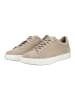Geox Sneaker in Sand