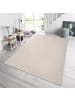 NORTHRUGS In- & Outdoorteppich coin grau/creme