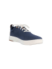 Timberland Sneaker in Blau