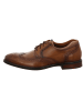 LLOYD Business Schnürschuh in braun