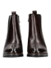 Marco Tozzi Stiefelette in Mocca