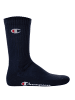 Champion Socken 12er Pack in Blau/Weiß/Grau