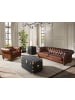 Angel Cerdá Chester-Sofa 6228 in Cognacbraun / Mahagoni – (B)226 x (H)101 x (T)70 cm