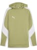 Puma Hoodie "TeamEVOSTRIPE Hoody" in Grün