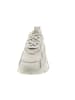 Steve Madden Manerva Sneaker Beige