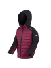Regatta Kielder IX Hybrid Jacke in Dunkelrot