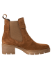 Tamaris Chelsea Boot in cognac
