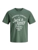 Jack and Jones T-Shirt Bluzane Short Sleeve Tee in Grün