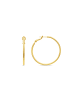 Luxenter Ohrringe Dierax mit 18 Karat Gelbgold-Finish – DIERAX
