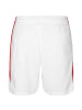 Nike Performance Trainingsshorts Team Basketball Stock in weiß / rot