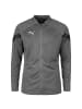 Puma Trainingsjacke TeamFinal in grau / schwarz