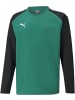 Puma Pullover "TeamLIGA Training Sweat Jr" in Grün