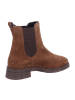 Paul Green Boot in braun