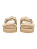 Steve Madden Sandalen in Beige