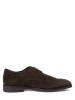 JOOP! Schuhe Velluto Kleitos in schlamm - 0001
