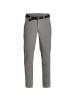 Maier Sports Zip-Hose Torid Slim in Hellgrau