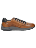 Sioux Sneaker Turibio-702-J in cognac