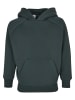 Urban Classics Sweat & Fleece - Hoody in bottlegreen