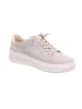 Legero Sneaker Low in grau