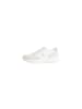 CALVIN KLEIN JEANS Beige Leder Sportsneaker