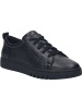 Josef Seibel Sneaker Jessie 01 in schwarz