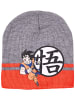 Dragon Ball Wintermütze Dragon Ball in Grau
