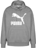 Puma Kapuzenpullover in medium grey heather