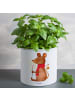 Mr. & Mrs. Panda Blumentopf Groß Maus Weihnachten ohne Spruch in Weiß