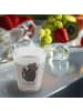 Mr. & Mrs. Panda Stamper Stinktier  ohne Spruch in Transparent