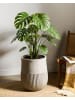 Beliani Outdoor Blumentopf PYLAROS in Grau - (W) 36 x (H) 47 x (L) 36 cm