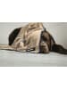 FLUFFINO Hundehandtuch Set 2-tlg. S beige/blau  Bunt