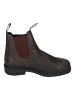 Blundstone Chelsea Boots 062 Dress Series in braun